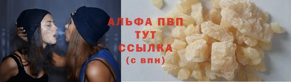 первитин Богданович