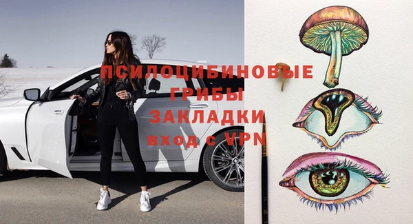 первитин Богданович