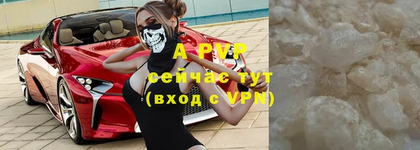 СК Богородицк
