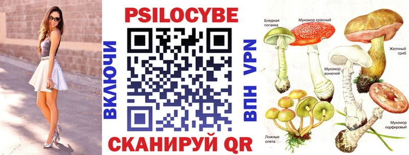Галлюциногенные грибы Cubensis  Торопец 